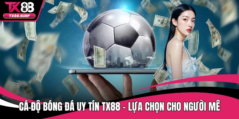 Cá Độ Bóng Đá Uy Tín