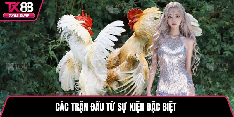 Các trận đấu từ sự kiện đặc biệt